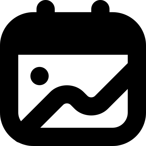 с 2009 г.